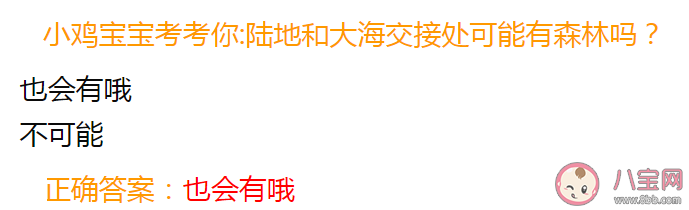 陆地和大海交界处会有森林吗 蚂蚁庄园7月5日答案