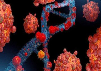 猴痘在中国传播风险如何 如何预防猴痘病毒感染