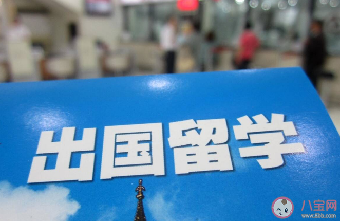 教授称有人花百万留学回来月薪5000 留学是投资还是消费