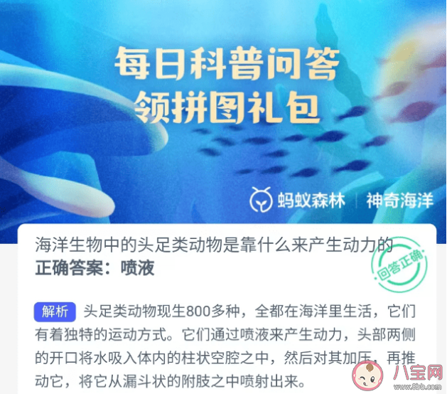 海洋生物中的头足类动物是靠什么来产生动力的 蚂蚁森林神奇海洋7月11日答案