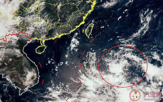 台风泰利预计今夜登陆我国 台风泰利会带来哪些影响