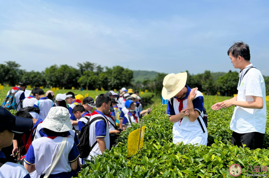 几千块的研学旅行是智商税吗 部分研学旅行游而不学值得吗