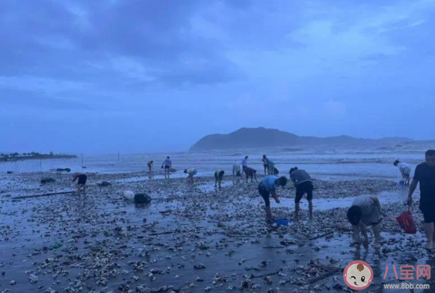 台风送来大量生蚝海鲜市民拎麻袋装 生蚝吃了有什么好处