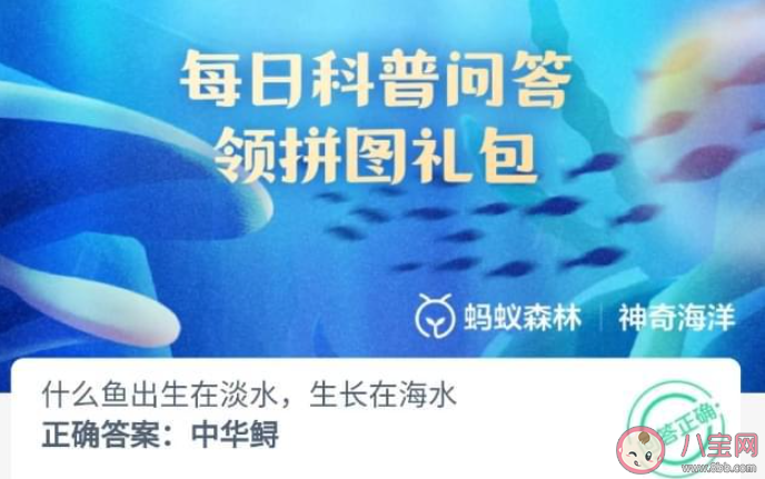 什么鱼出生在淡水生长在海水 神奇海洋7月19日答案