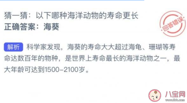 猜一猜以下哪种海洋动物的寿命更长 神奇海洋7月21日答案