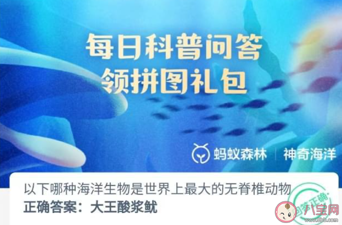 以下哪种海洋生物是世界上最大的无脊椎动物 神奇海洋7月25日答案