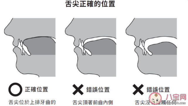 舌头的正确摆放位置在哪 如何保护我们的舌头