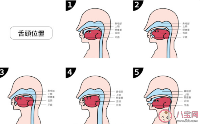 舌头的正确摆放位置在哪 如何保护我们的舌头