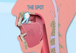 舌头的正确摆放位置在哪 如何保护我们的舌头