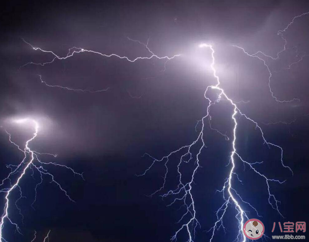 雷雨天这些陷阱要避开 打雷为什么不能躲在树下