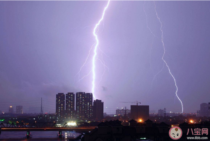 雷雨天这些陷阱要避开 打雷为什么不能躲在树下