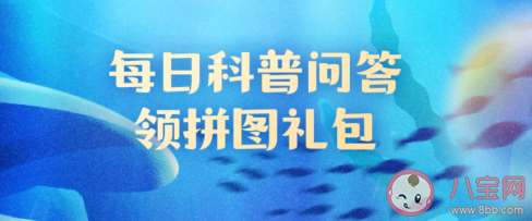 一些章鱼和乌贼可以改变自身颜色这种能力的作用是什么 神奇海洋8月1日答案