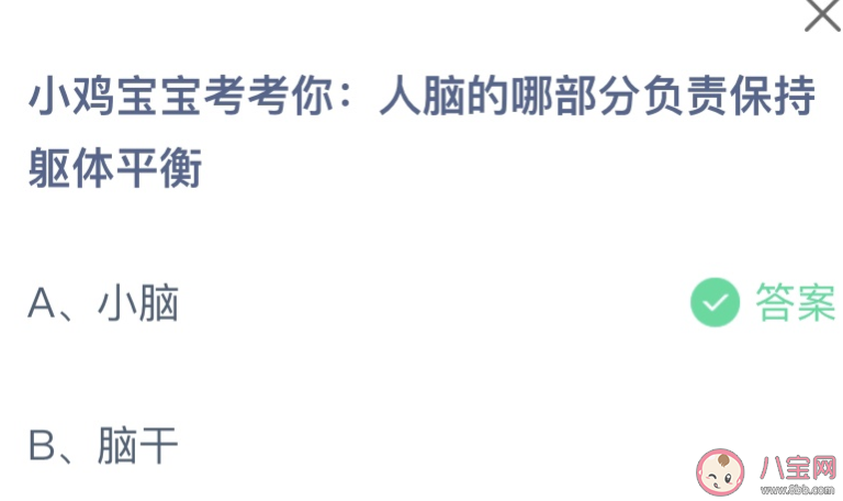 人脑的哪部分负责保持躯体平衡 蚂蚁庄园8月3日答案