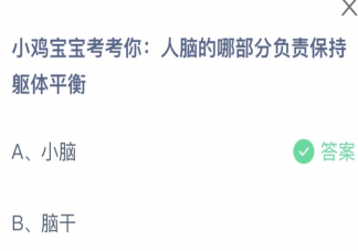 人脑的哪部分负责保持躯体平衡 蚂蚁庄园8月3日答案