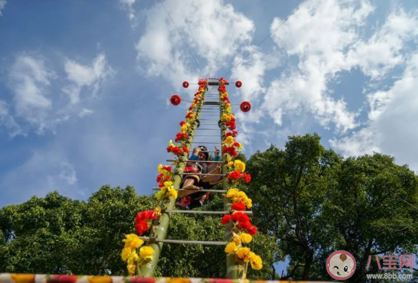 上刀山下火海是云南泸水县傈僳族什么节的主要习俗 蚂蚁新村8月3日答案