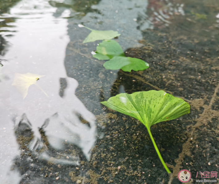 未来10天哪里雨水多 一直下雨该怎么办