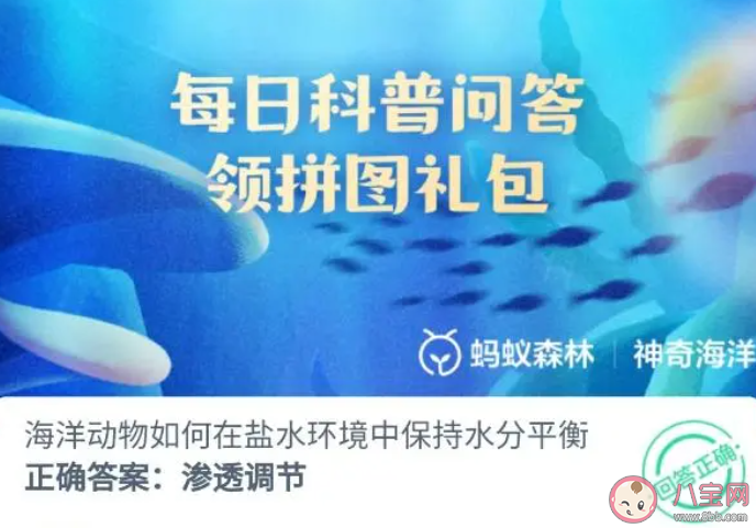 海洋动物如何在盐水环境中保持水分平衡 2023神奇海洋8月4日答案