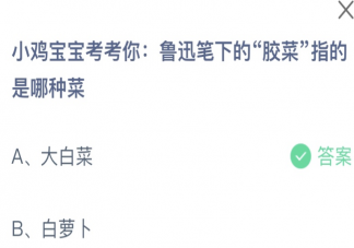 鲁迅笔下的胶菜指的是哪种菜 蚂蚁庄园8月5日答案最新