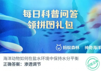 海洋动物如何在盐水环境中保持水分平衡 2023神奇海洋8月4日答案