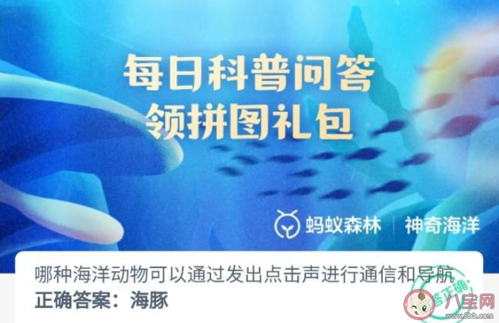 哪种海洋动物可以通过发出点击声进行通信和导航 神奇海洋8月5日答案