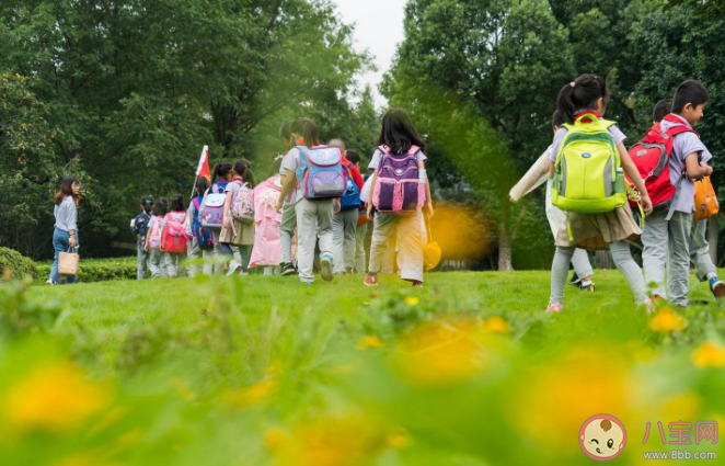 研学游是教育还是生意 研学旅行要报名参加研学团吗