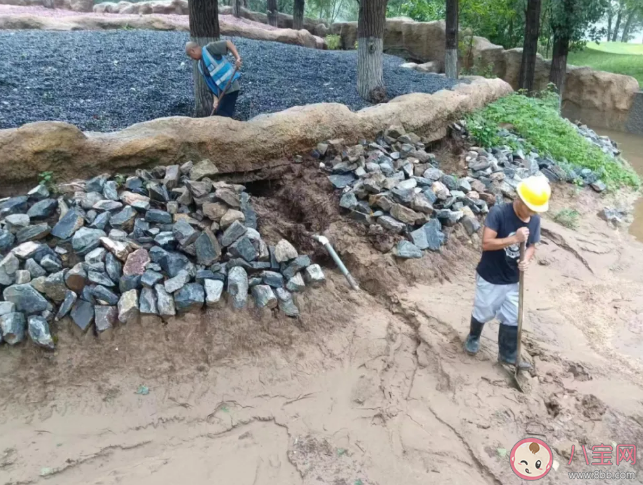 暴雨洪灾后个人防疫关注7个重点 哪些疾病最有可能发生