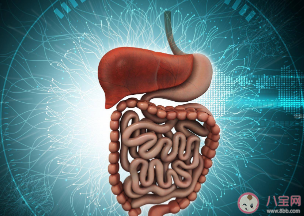 急性胰腺炎的发病率是多少 为什么胡吃海喝会引起急性胰腺炎