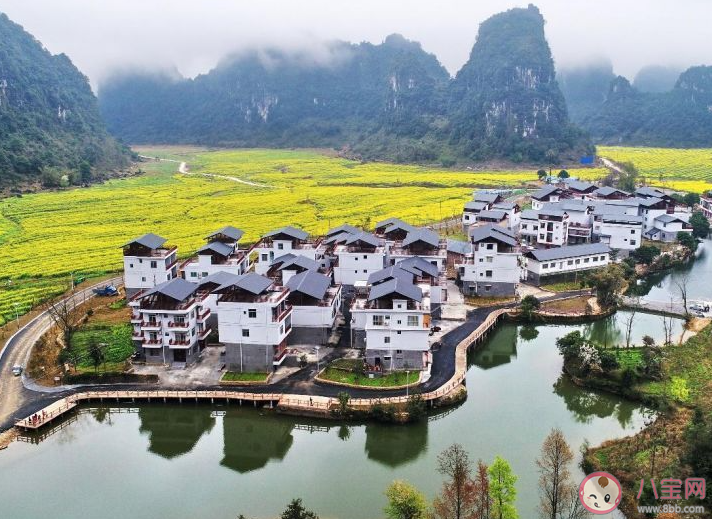 乡村旅游规划师主要负责什么工作 蚂蚁新村8月12日答案