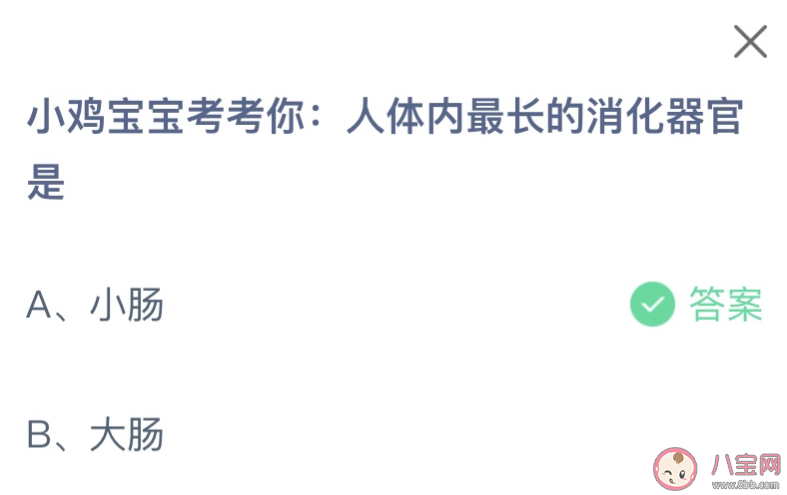 人体内最长的消化器官是什么 蚂蚁庄园8月18日答案介绍