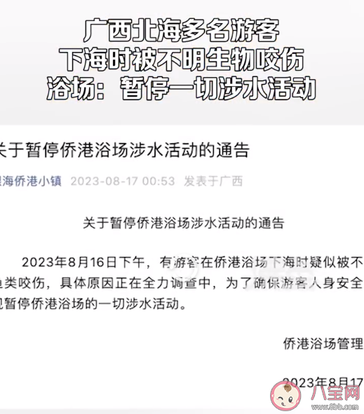 北海一浴场突发不明鱼类伤人事件是怎么回事 被不明鱼类咬伤了怎么办