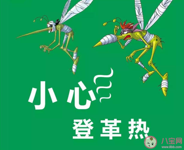 登革热高发季如何预防 登革热的主要临床表现有哪些