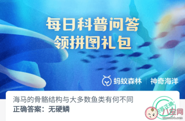 海马的骨骼结构与大多数鱼类有何不同 神奇海洋8月30日答案最新