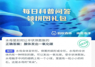 蚂蚁森林水母是如何让伞状体膨胀的 神奇海洋8月31日答案