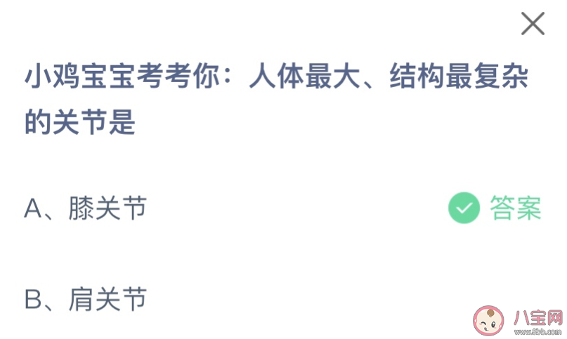 人体最大结构最复杂的关节是什么 蚂蚁庄园9月2日答案最新