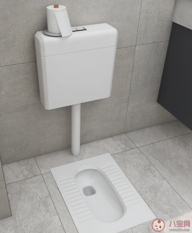家里有必要安装蹲厕吗 蹲厕和马桶哪个更好