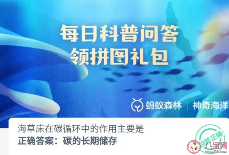 海草床在碳循环中的作用主要是什么 神奇海洋9月12日答案