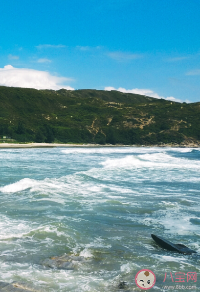 蚂蚁新村紫菜通常生长在哪种海域环境中 9月15日答案