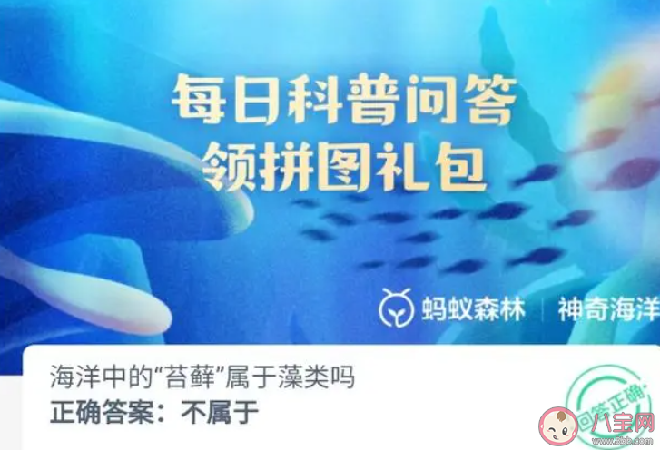 海洋中的苔藓属于藻类吗 神奇海洋9月16日答案