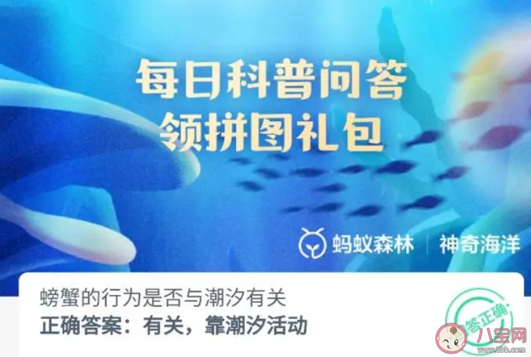 螃蟹的行为是否与潮汐有关 神奇海洋9月19日答案