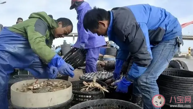 新疆没有海为什么能养海鲜 海鲜陆养是什么意思