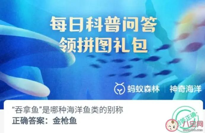 吞拿鱼是哪种海洋鱼类的别称 神奇海洋9月30日答案