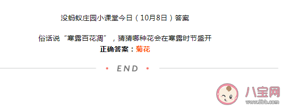 寒露百花凋猜猜哪种花会在寒露时节盛开 蚂蚁庄园10月8日答案