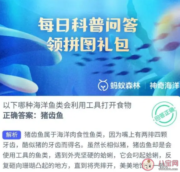 以下哪种海洋鱼类会利用工具打开食物 蚂蚁森林神奇海洋10月16日答案