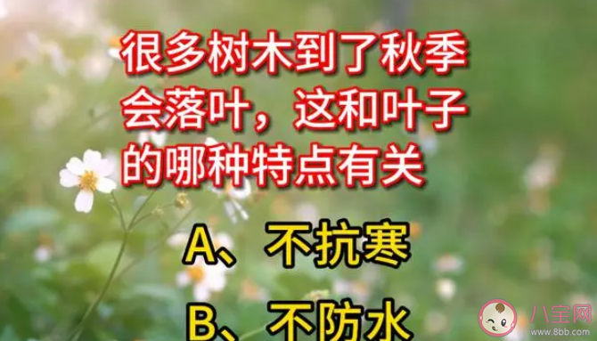 很多树木到了秋季会落叶这和叶子的哪种特点有关 蚂蚁庄园10月18日答案