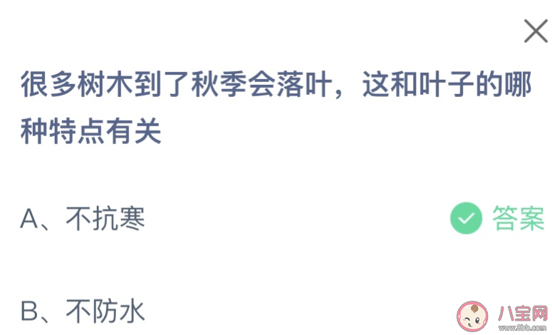 树木到了秋季落叶是和叶子的哪种特点有关 蚂蚁庄园10月18日答案