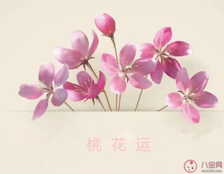 什么是烂桃花 遇到烂桃花了该怎么办