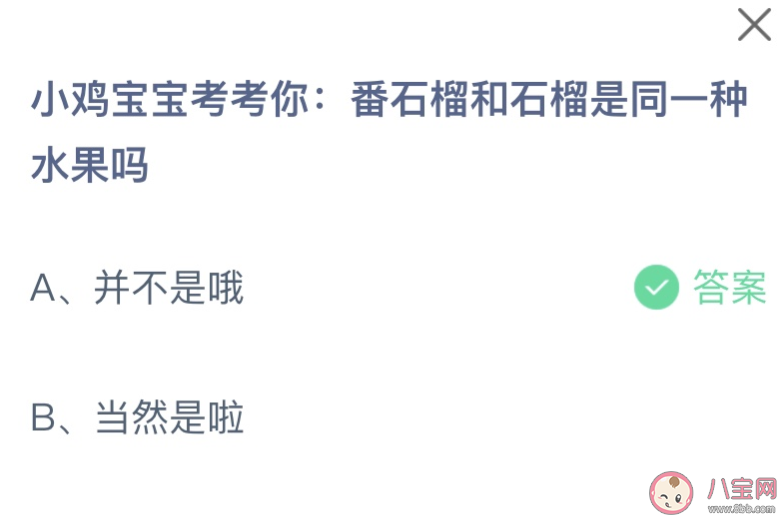 番石榴和石榴是同一种水果吗 蚂蚁庄园10月26日答案-第1张图片-冰筹网