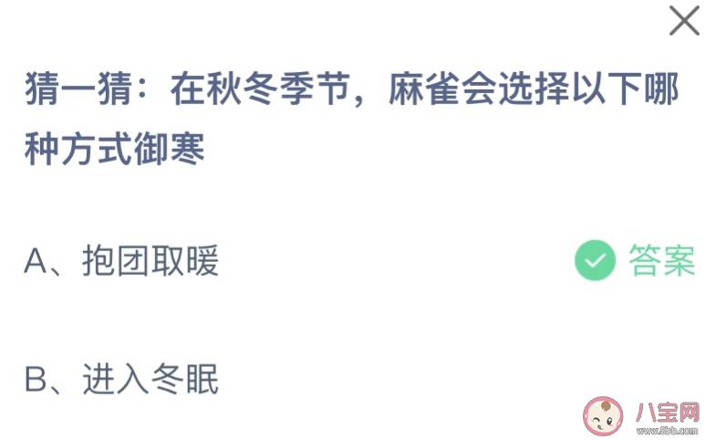 在秋冬季节麻雀会选择以下哪种方式御寒 蚂蚁庄园10月31日答案