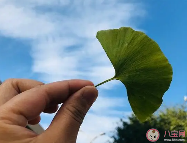 10月最后一天的朋友圈文案句子 10月最后一天的感受朋友圈