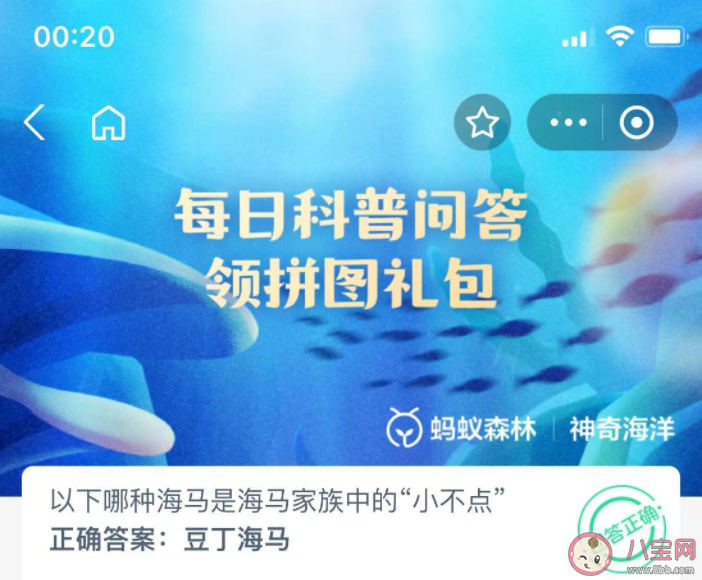 以下哪种海马是海马家族中的小不点 神奇海洋11月2日答案